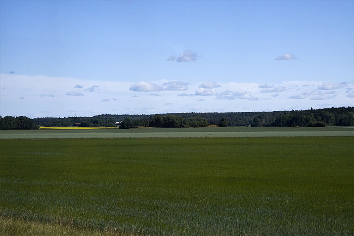 Landskap