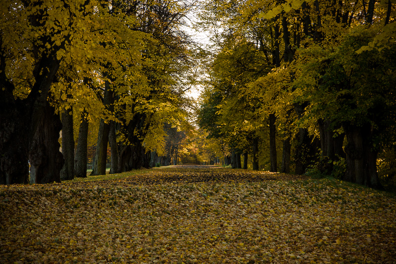 Höst i Strömsholm